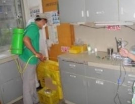 醫院滅鼠