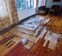 井岸鎮殺蟲別墅地板案例