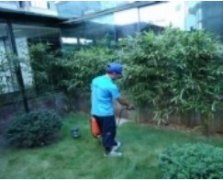 滅鼠服務